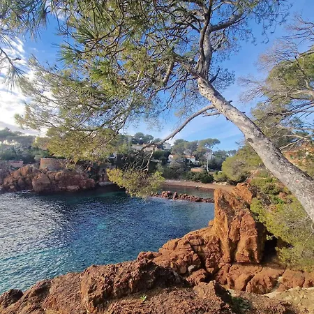 Sr480-033 Appt 3 Pieces 6 Personnes Raphael Appartement