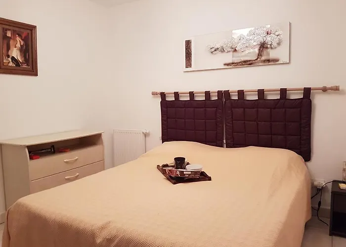 Appartement Sr480-033 Appt 3 Pieces 6 Personnes Raphael Saint-Raphaël